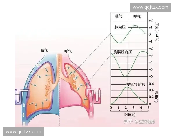 围绕换气节奏探讨人体呼吸协调与科学训练方法提升健康表现新策略