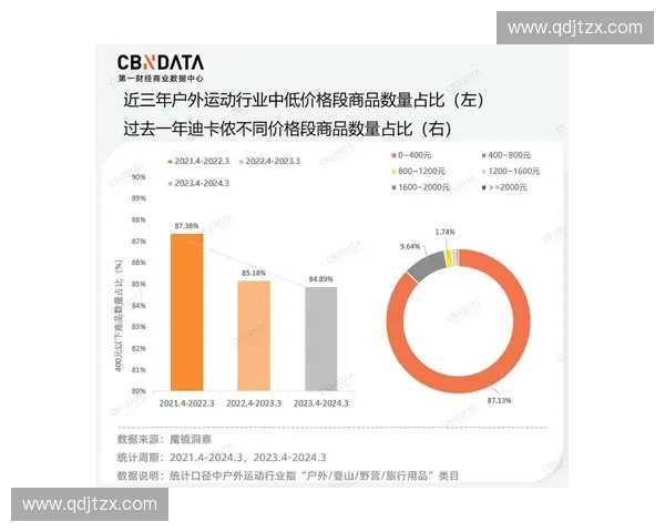 以数字粉丝为核心驱动品牌增长与价值共创的新路径探索实践与方法