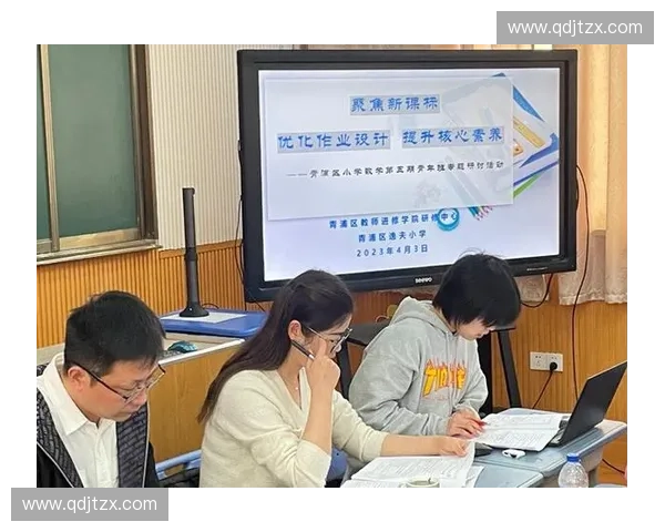 稳定期训练策略优化与效果提升研究探讨